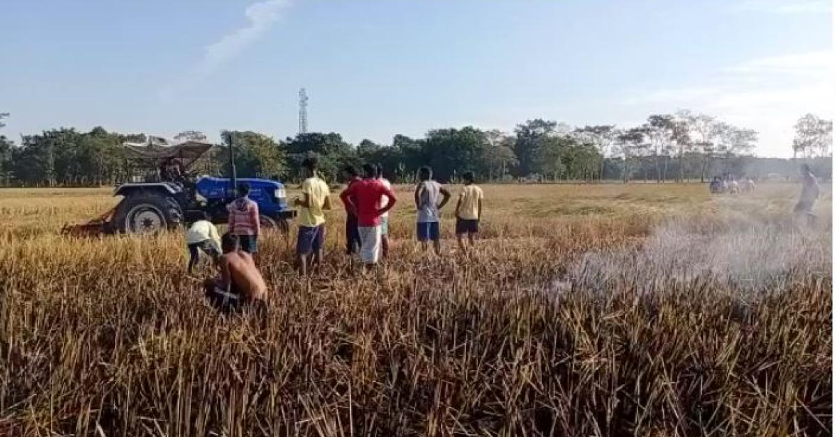 kamrup-paddy-field-fire