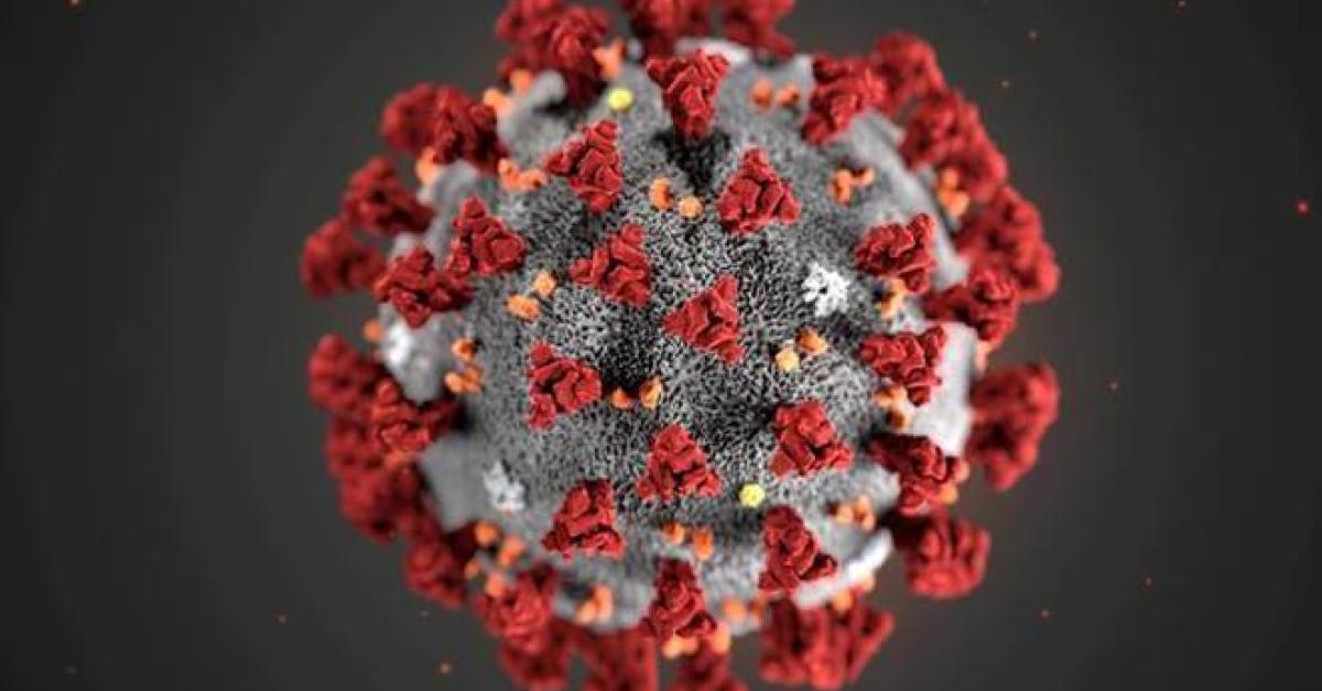 corona virus