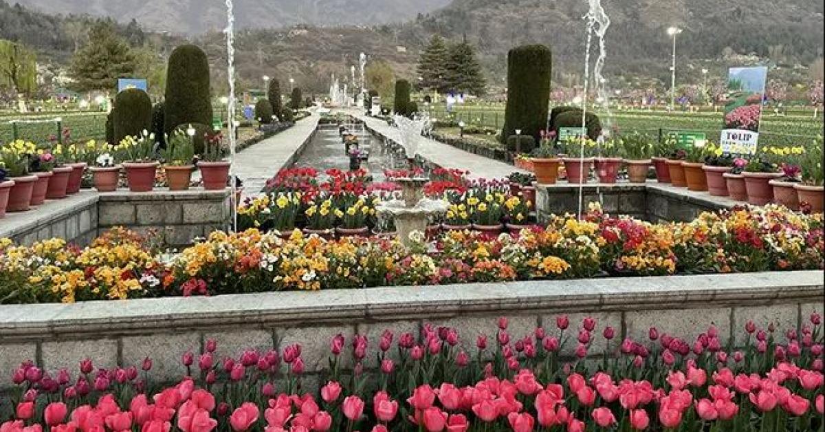 Asia's largest Tulip Garden
