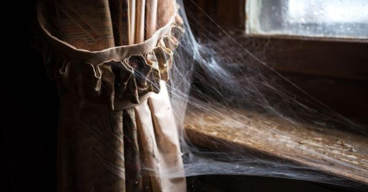 Spider webs in the house indicates trouble