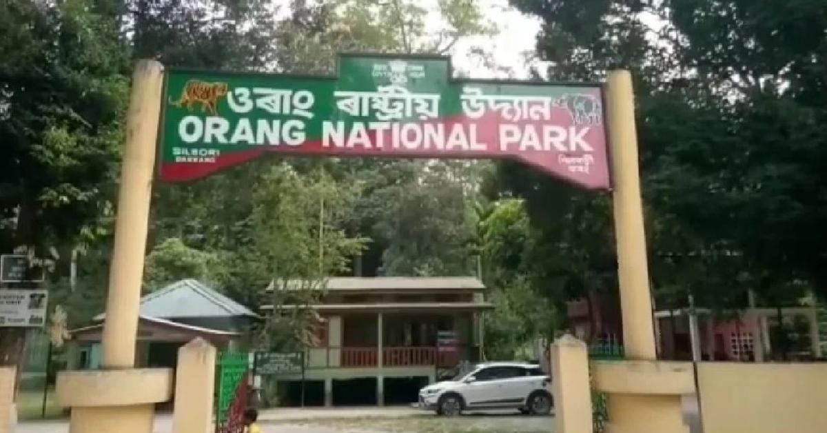 Orang National Park