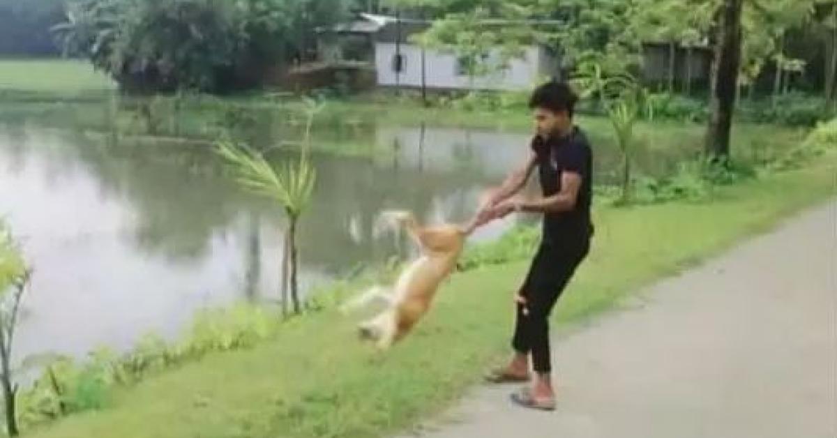Tripura Dog