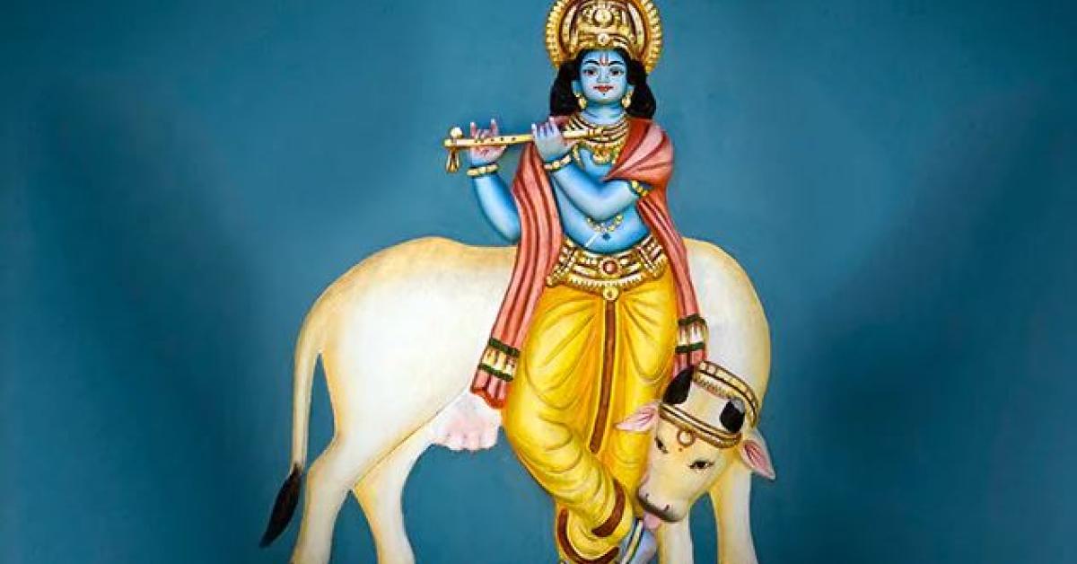 krishna