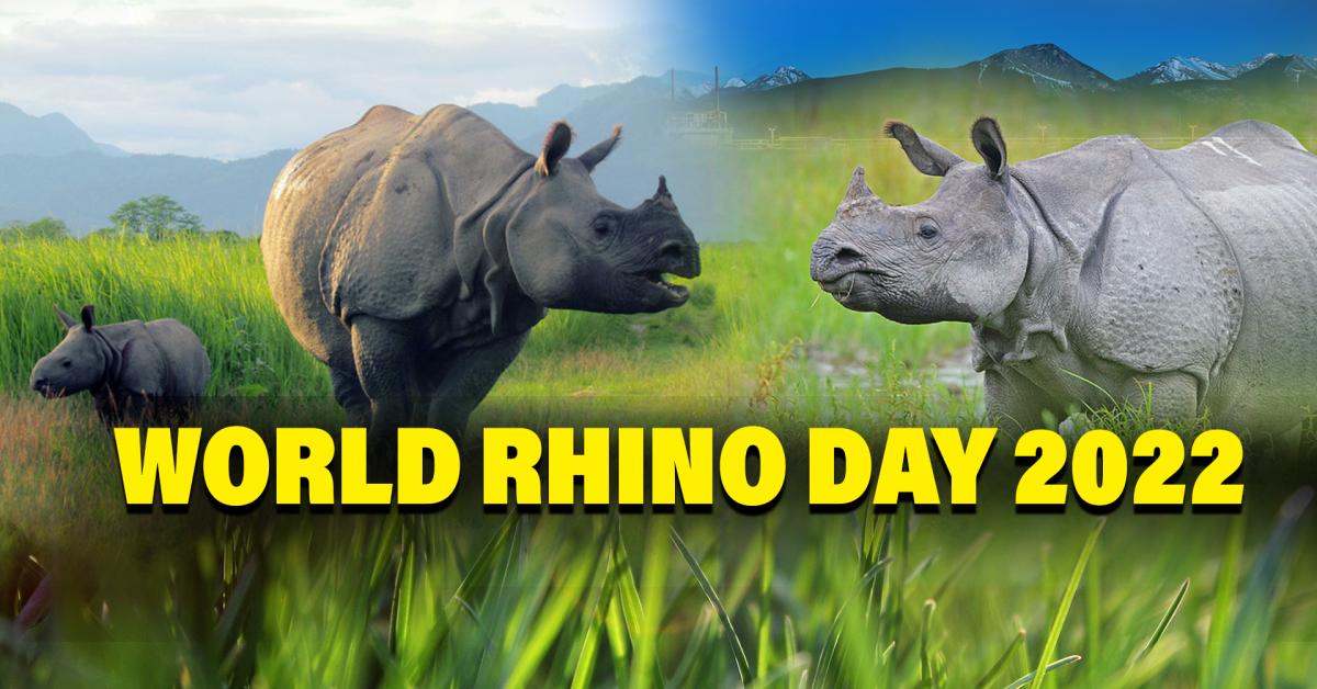 World Rhino Day 2022