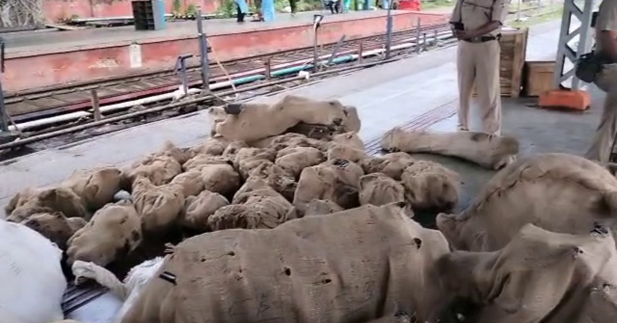 Paltan Bazar Station