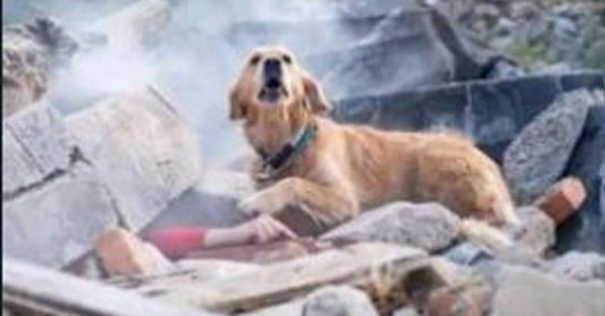 Turkey Earthquake