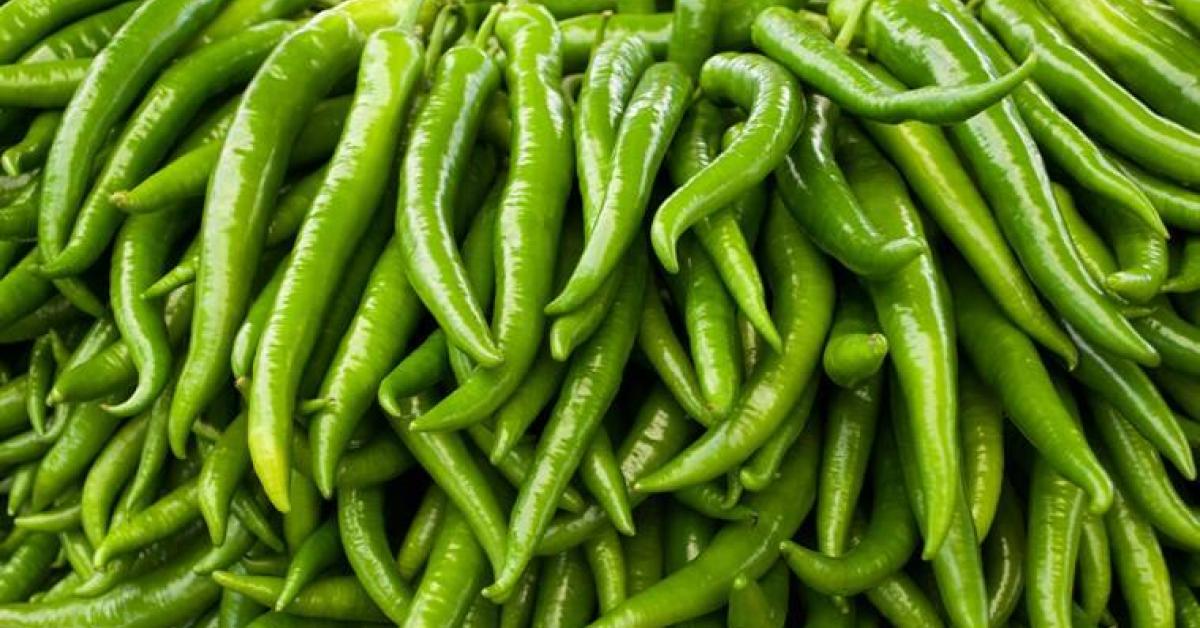 Green Chillies