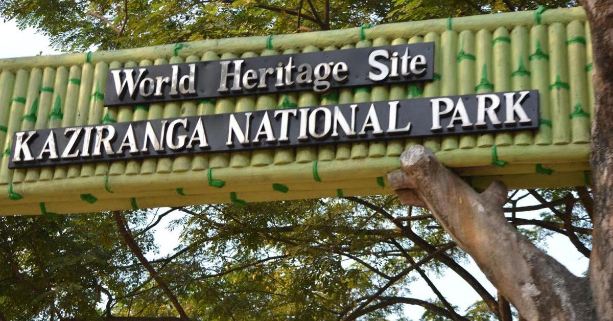 Kaziranga National Park