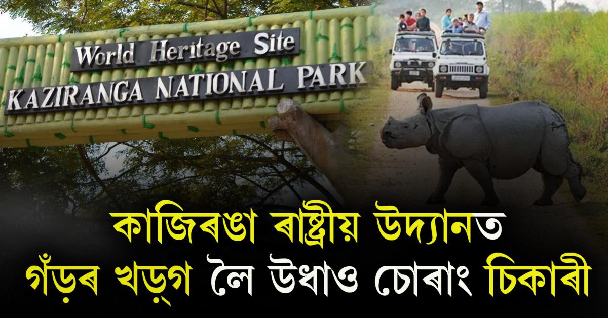 Kaziranga National Park