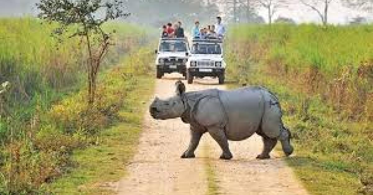 kaziranga