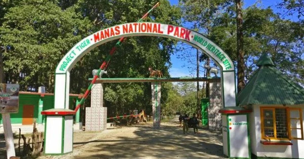 manas national park