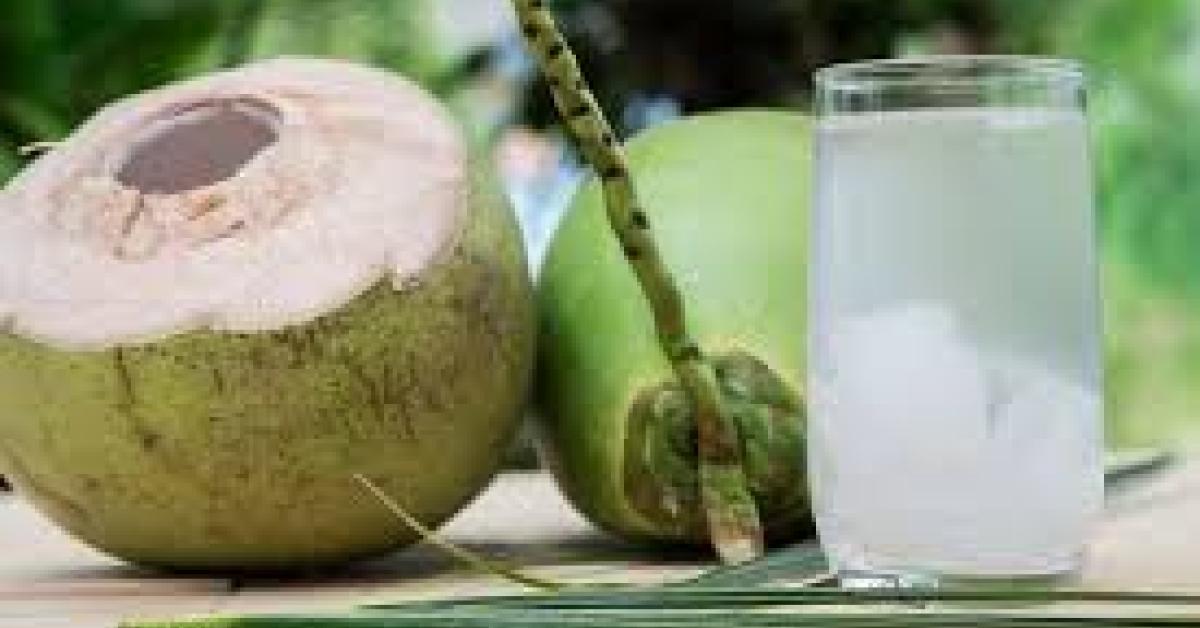 coconut