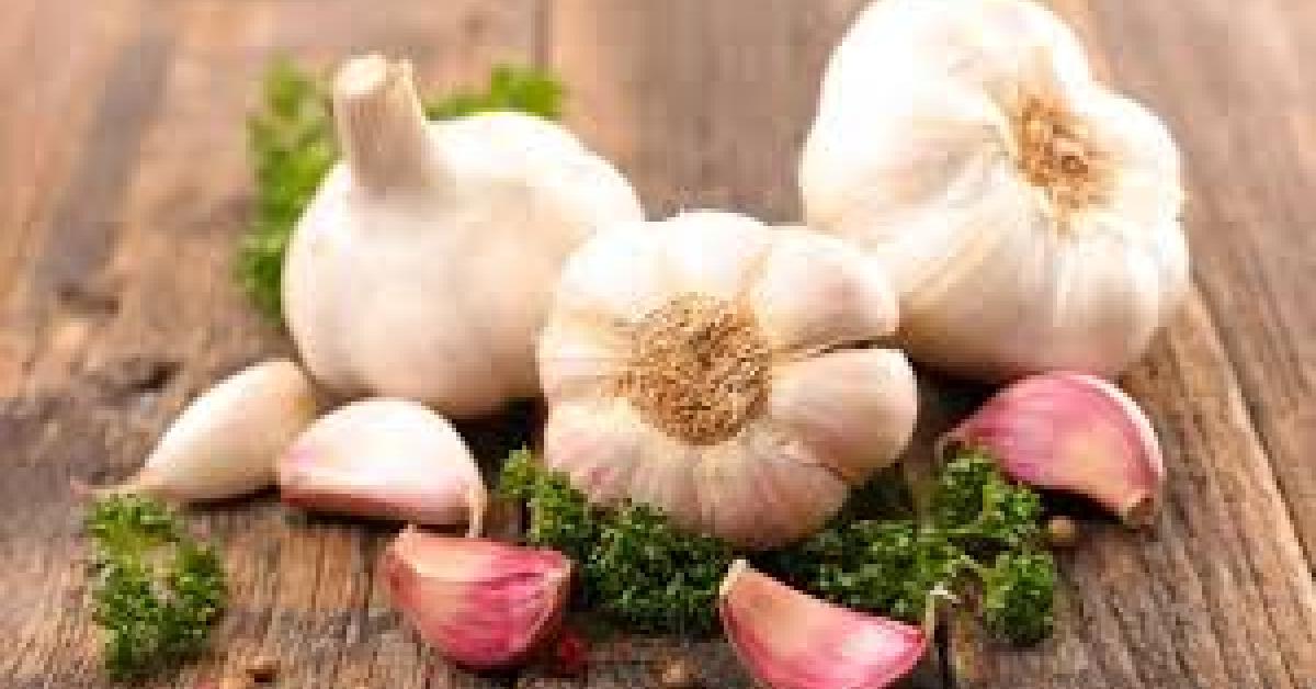 garlic