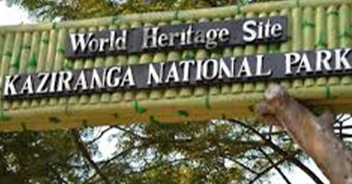 kaziranga