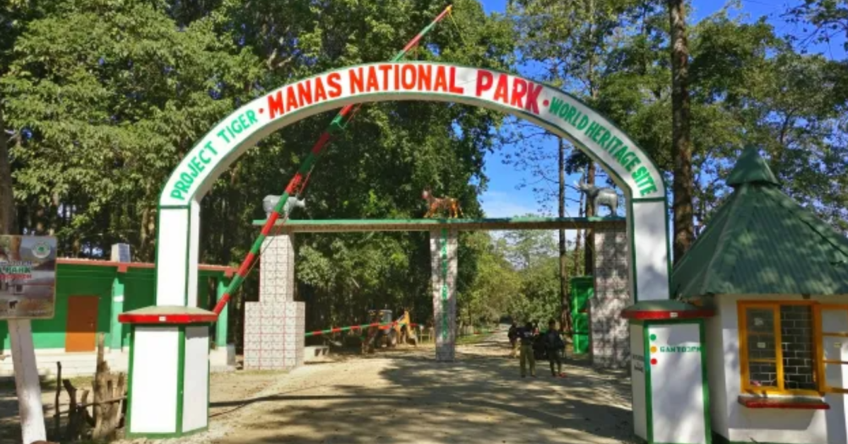 manas national park