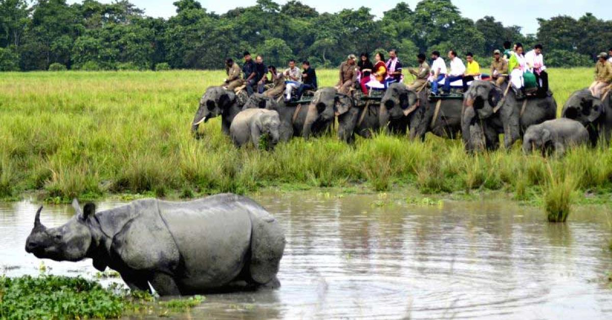 Kaziranga