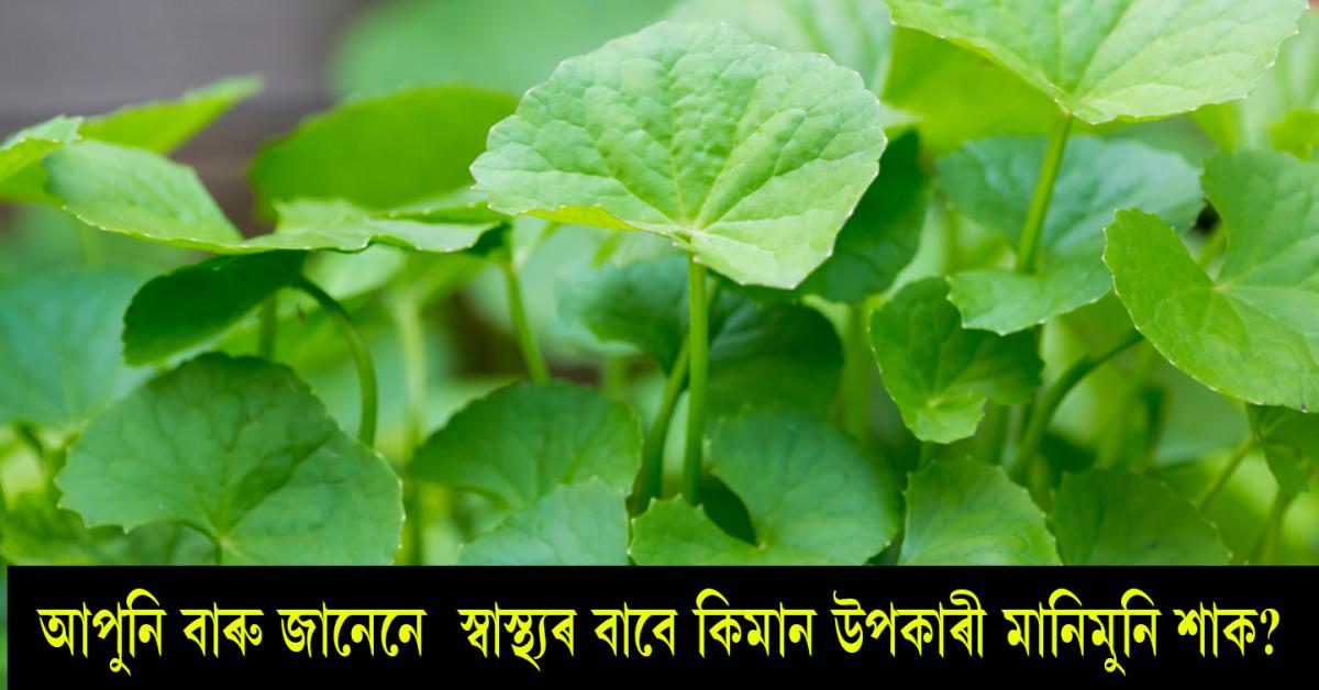 centella asiatica benefits