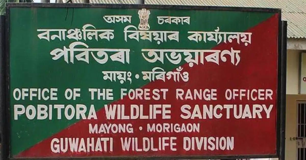 Pobitora Wildlife Sanctuary