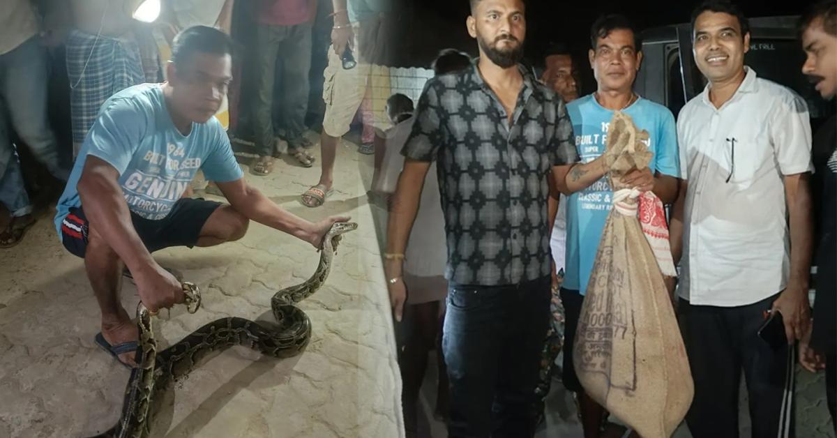 Python Rescued