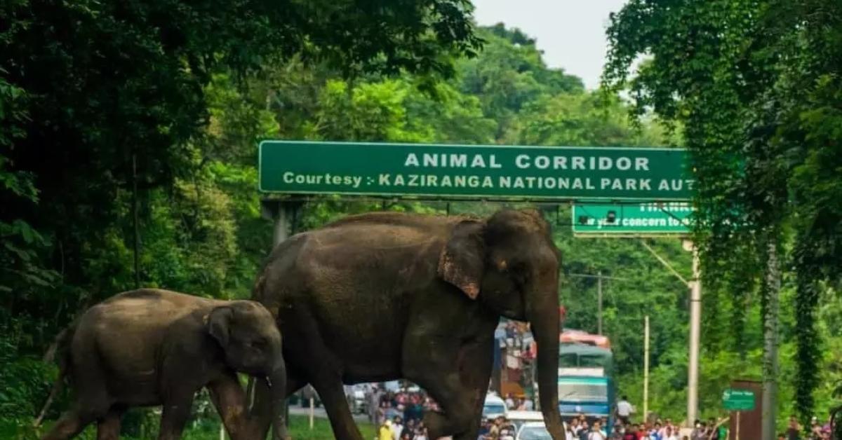 PM to Lay Foundation for Kaziranga Corridor, Kokrajhar–Gelephu Rail Link in January