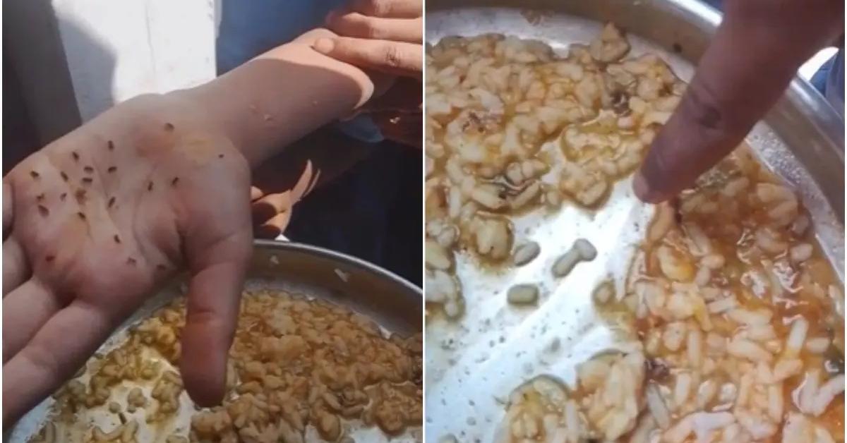 कर्नाटक के स्कूलों में मिड-डे मील के चावल में मिले कीड़े, जांच के आदेश