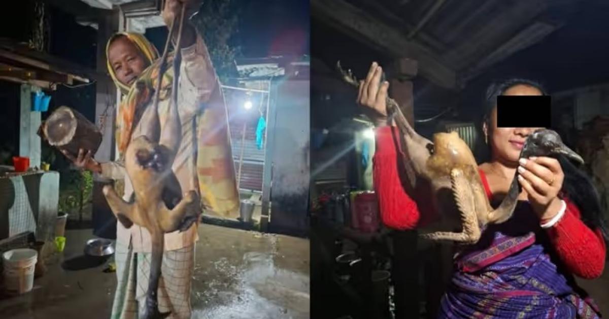 असम में अति संकटग्रस्त बंगाल फ्लोरिकन के शिकार से आक्रोश, दो गिरफ्तार