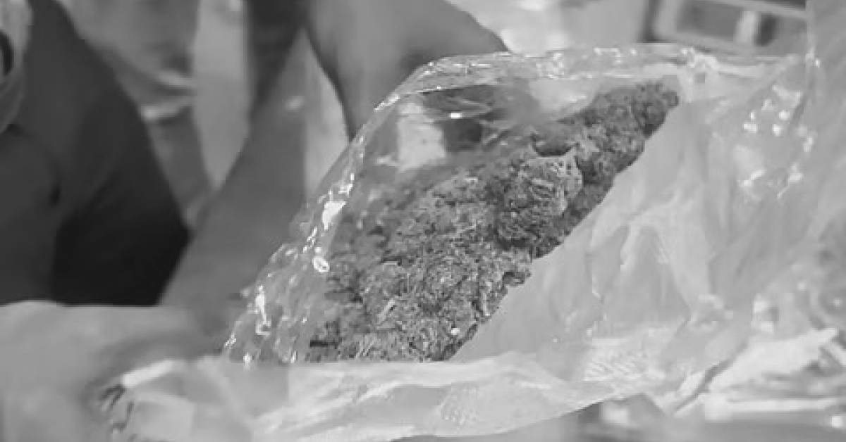 Assam: Rowta Police Seize Over 30 kg of Ganja in Anti-Narcotics Operation