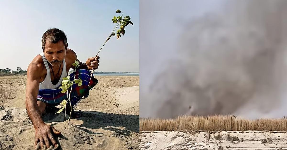 Fire damages part of environmentalist Jadav Payeng’s Assam reforestation project