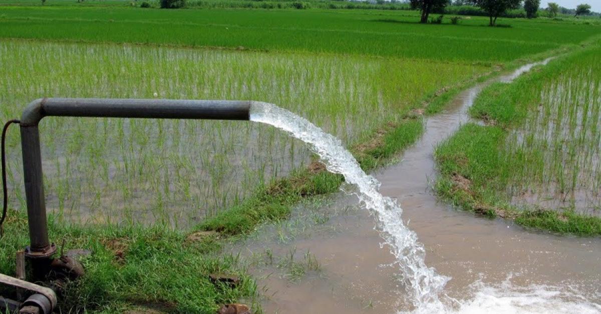 अंतिम खेत तक पहुँचा पानी: कैसे नहरों का पानी पंजाब की खेती को बदल रहा है