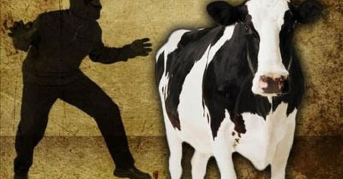 Cattle Theft Suspicion Sparks Tension in Assam’s Dibrugarh, Police Fire Warning Shots