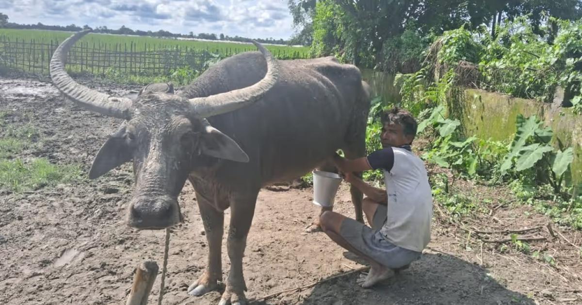 असम के किसान जितुल बुरागोहेन को नेशनल ब्रीड कंजरवेशन अवार्ड से सम्मानित