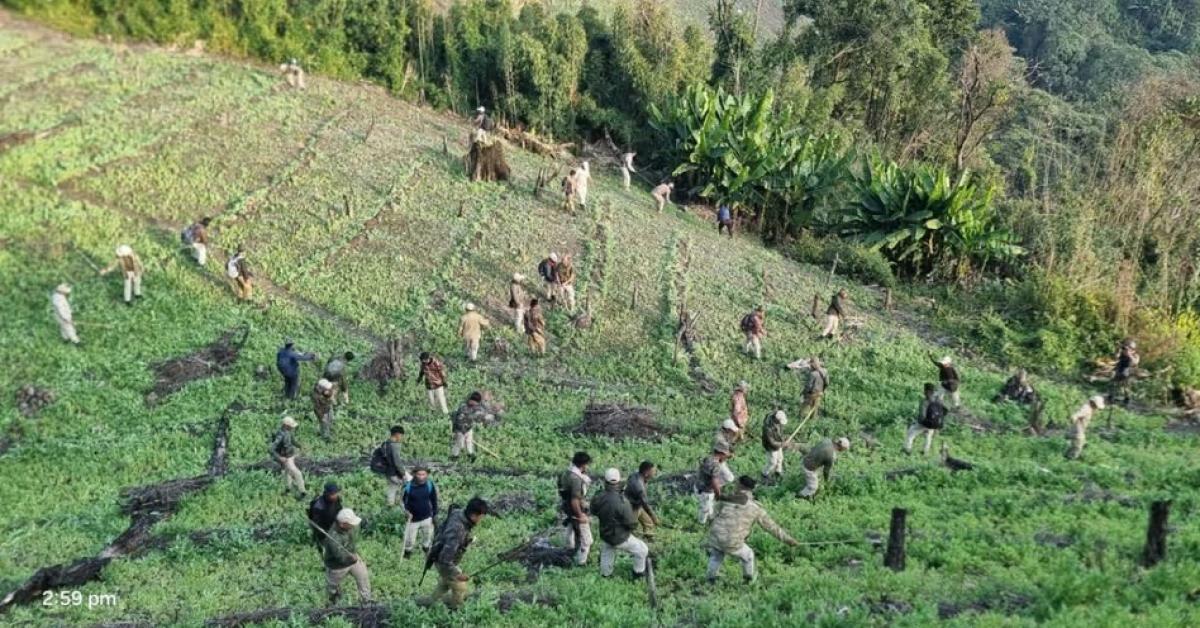 मणिपुर के दो हिल जिलों में दो दिन की कार्रवाई में 30 एकड़ अवैध पोपी खेती नष्ट