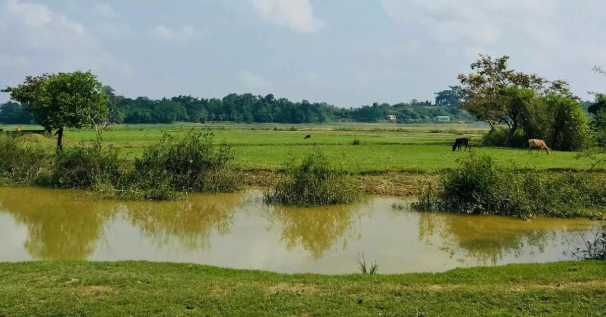 Less than 10% of Assam’s Cropped Land Irrigated Despite 12.6 Lakh Hectare Target