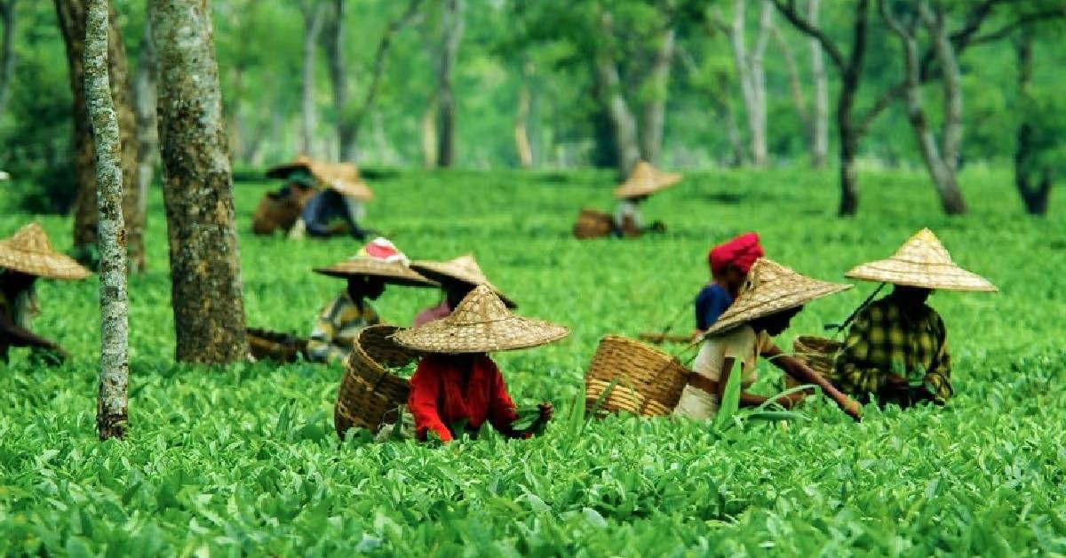 “असम अब सिर्फ चाय का राज्य नहीं, हम एक बड़ा औद्योगिक हब बना रहे हैं” - हिमंता बिस्वा सरमा