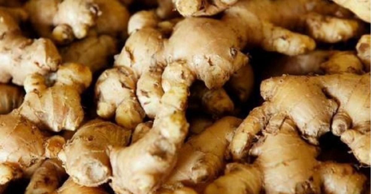 ‘Brand Assam goes global’: CM hails GI-tagged Karbi ginger export to London