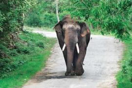  ৪৭ বছৰীয়া কৃষক