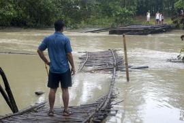 এতিয়া বানৰ সংহাৰী ৰূপ