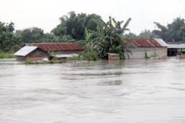 লখিমপুৰত আৰম্ভ হৈছে বানৰ বিভীষিকা