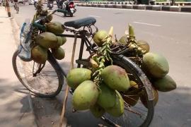 উস! প্ৰচণ্ড গৰম/ কেতিয়া আহিব বৰষুণ ?