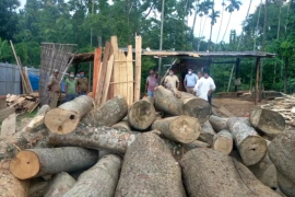 সৰুপথাৰত অবৈধ কাঠ ফলা মিল জব্দ