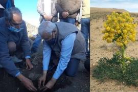 দেশত প্ৰথমবাৰলৈ ১১ফুট উচ্চতাৰ গাঁৱত খেতি কৰা হ'ব হিঙৰ