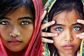 এটা দ্বীপ