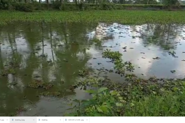  ডিব্ৰুগড়ৰ জকাইৰ ধনপোনা মেছে মীন পালনেৰে নিবনুৱাক দেখুৱাইছে কৰ্ম নিদৰ্শন