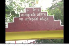 মহা নৱমীত বঙাইগাঁৱৰ ঐতিহাসিক বাঘেশ্বৰী মন্দিৰত দুটা ম'হ বলি