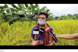 একেডৰা মাটিত তিনি গুণ শস্য উৎপাদনৰ লক্ষ্য