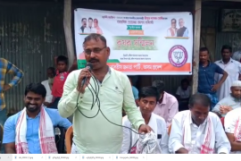 কৃষি সন্মিলন 