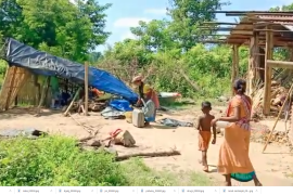 তামুলপুৰৰ ভাৰত ভূটান সীমান্তৰ শ্মশান ঘাটত বনৰীয়া হাতীৰ উপদ্ৰপ