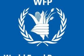 WFP