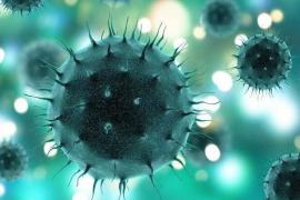 ৰাজ্যত ভয়াৱহ ৰূপ লোৱাৰ সম্ভাৱনা আছে কৰ'ণাই!