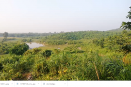 ৬০০ বিঘা মাটিত হস্তীৰ বাবে খেতি